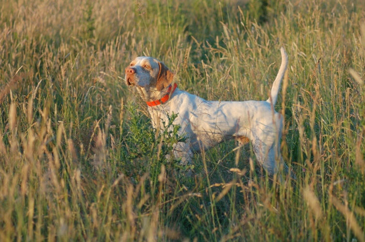 Boudreaux