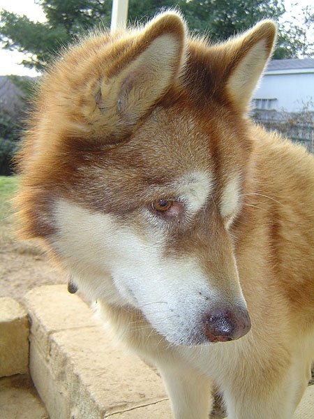 Max