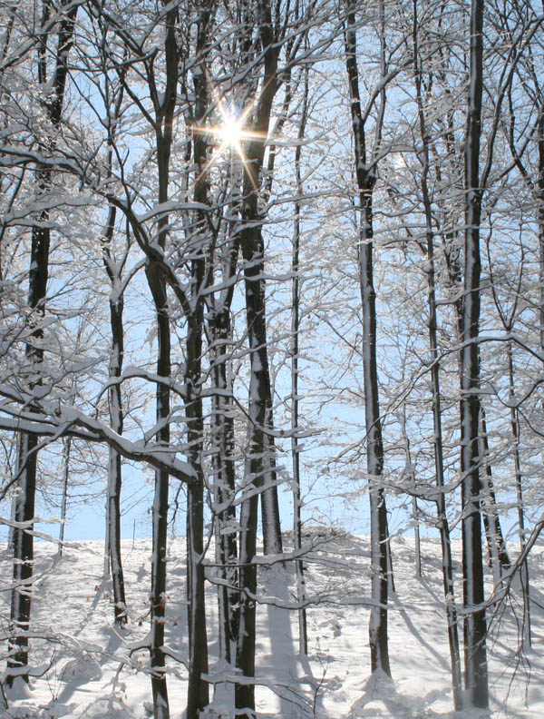 sun and snow
