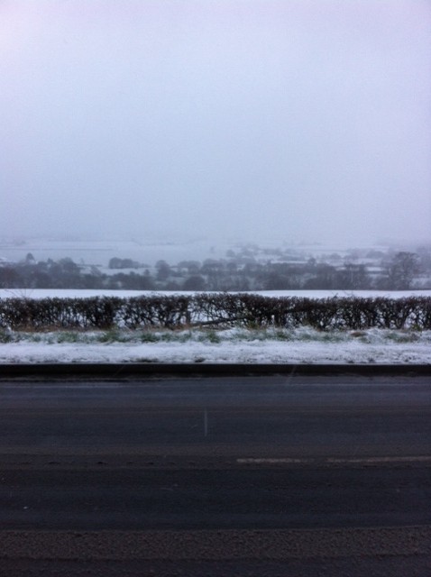 Snowy view