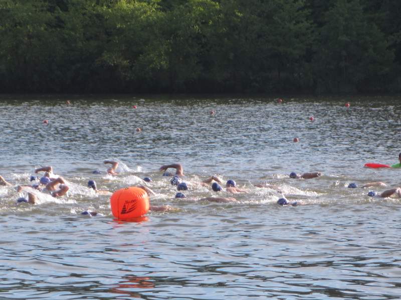 Swim