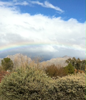 Tucson trail run