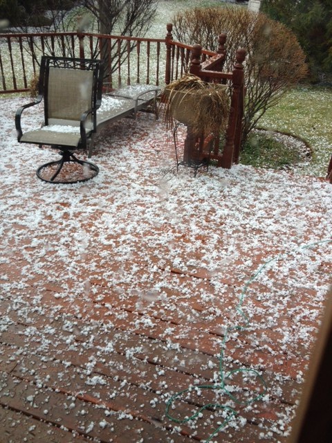 What the Hail?!?