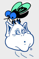 Black Flies