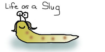 slug