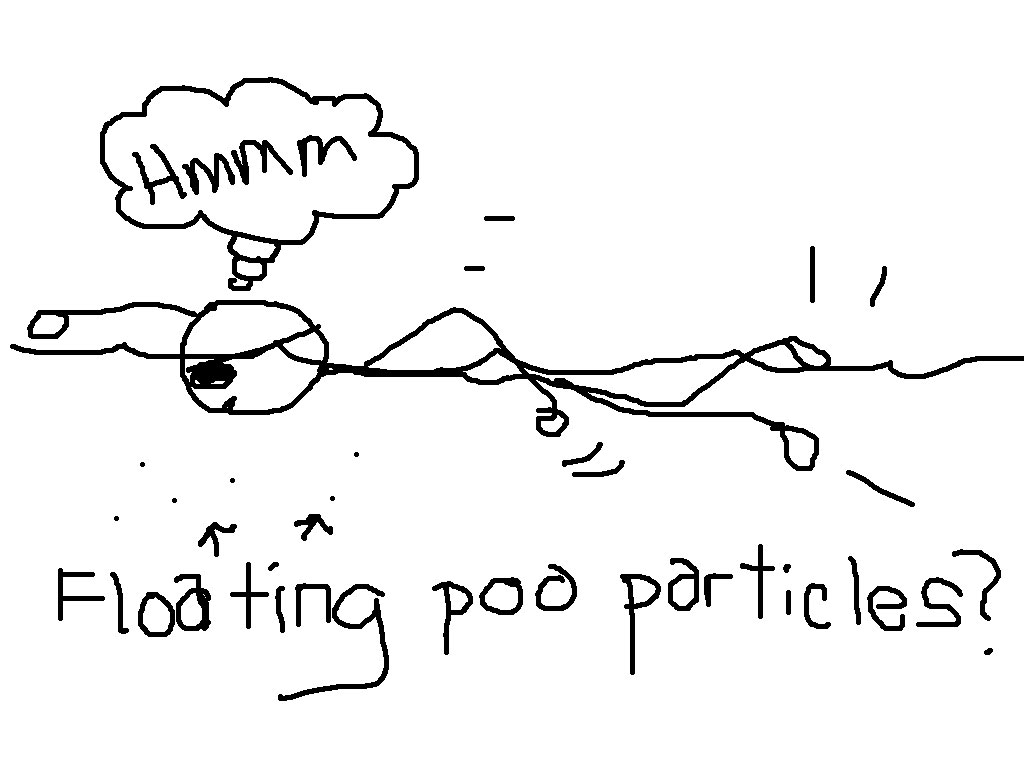 swim in poo