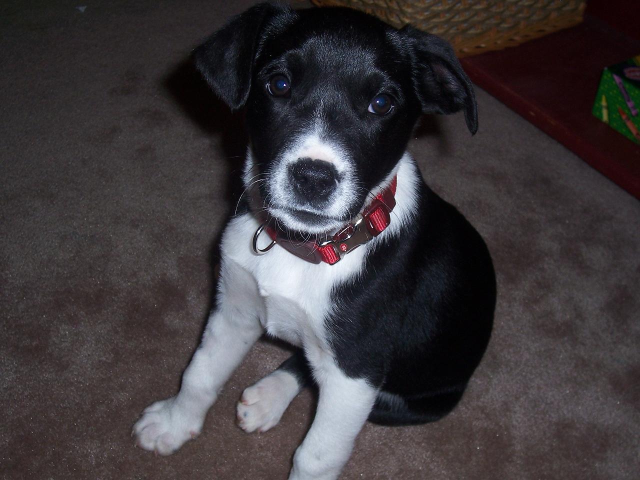 Macy