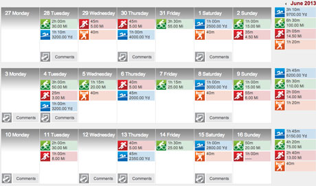 Triathlon Training Log